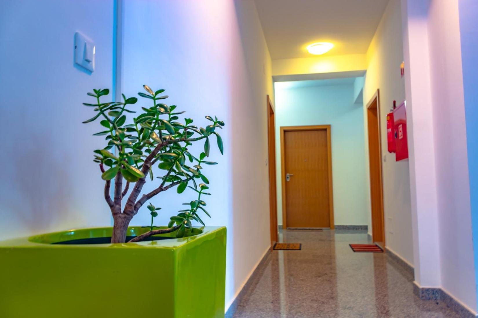 Apartment Botic ポレッチ エクステリア 写真
